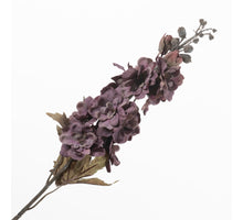 Delphinium Purple 75cm