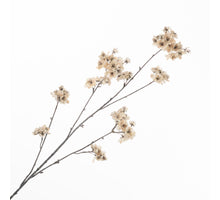 Cherry Blossom Spray Cream 115cm