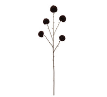 Pom Pom Spray Brown 100cm