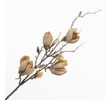 Magnolia Spray Green 75cm