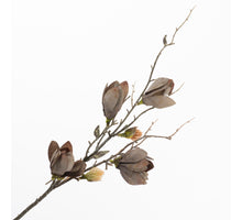 Magnolia Spray Grey 75cm