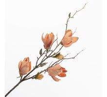 Magnolia Spray Orange 75cm