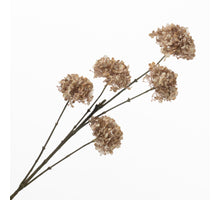 Viburnum Spray x5 Brown 95cm