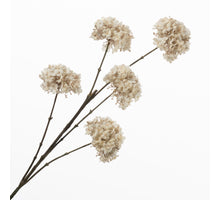 Viburnum Spray x5 Cream 95cm