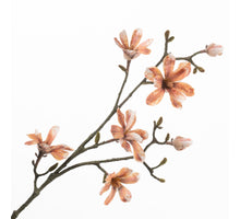 Magnolia Spray Brown 100cm