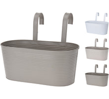 REAGENZGLAS MIT GETROCKNETEN BLUMEN 3 SORTIERT H15 D3CM
