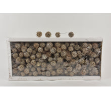 AMBERBAUM LOOSE WHITE WASHED  (±310PCS/KG)