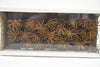 Spidergum-Kralle Lose Natur (50Stk)