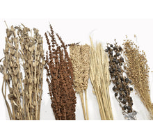 Rozen gedroogd bos Bordeaux