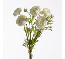Ranunkel-Bund x5 L38cm mit Bast Creme