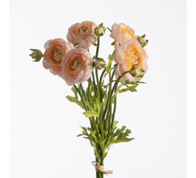 Ranunkel-Bund x5 L38cm mit Bast Beige