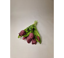 Real Touch Tulpe Bündel x7 L30cm Aubergine