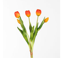 Real Touch Tulpe Bündel x5 L43cm Orange
