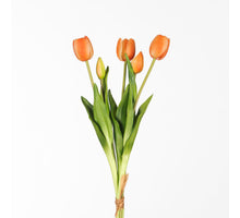 Real Touch Tulpe Bündel x5 L43cm Pfirsich