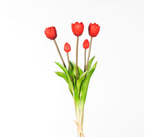 Real Touch Tulpe Dubble Bundle x5 L44cm Rot