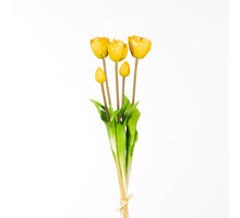 Real Touch Tulpe Dubble Bundle x5 L44cm Gelb