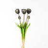 Real Touch Tulpe Dubble Bundle x5 L44cm Schwarz