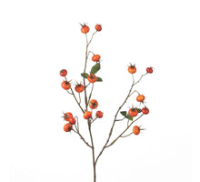 Hagebutten-Kürbis-Spray L86cm Orange