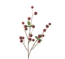 Hagebutten-Kürbis-Spray L86cm Rot