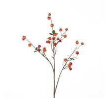 Hagebutten-Kürbis-Spray L102cm Orange