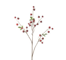 Hagebutten-Kürbis-Spray L102cm Rot