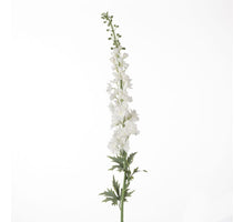 Delphinium L137cm Weiß