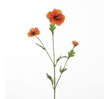Ranunkel Butterfly L58cm Orange
