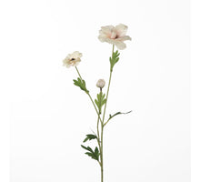 Ranunkel Butterfly L58cm Rosa