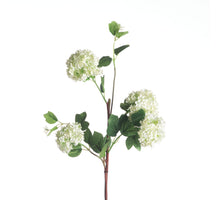 Schneeball-Viburnum x4 L84cm Weiß