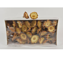 Comp Rosette 10cm mit Box (50 Stück) Natur