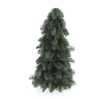 Nobilis Tanne H50cm Grün