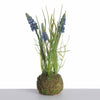 Traubenhyazinthe x3 auf Moosball L24cm blau