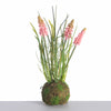 Muscari x3 auf Moosball L24cm Rosa