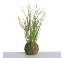 Traubenhyazinthe x3 auf Moosball L24cm weiß