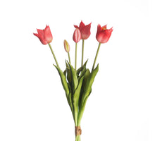 Real Touch Tulpenbund x5 L45cm Beauty