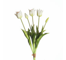 Real Touch Tulpenbund x5 L45cm Weiß