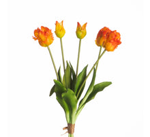 Real Touch Papageientulpe x5 L40cm Orange