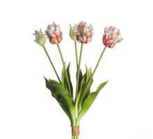 Real Touch Papageientulpe x5 L40cm Rosa/Grün