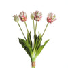 Real Touch Papageientulpe x5 L40cm Rosa/Grün