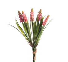 Muscari Bund x5 L28cm Rosa