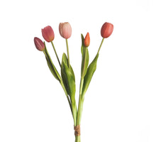 Real Touch Tulpenbund x5 L40cm Mix Beauty