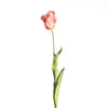 Real Touch Papageientulpe L60cm Rosa