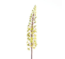 Eucomis Spray L87cm Grün