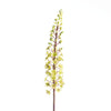 Eucomis Spray L87cm Grün