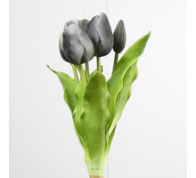 Real Touch Tulpenbund x5 L31cm Schwarz