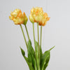 Real Touch Papageientulpe x5 L40cm Gelb