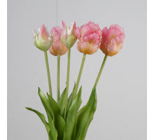 Real Touch Papageientulpe x5 L40cm Rosa
