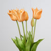 Real Touch Tulpenbund x5 L45cm Pfirsich