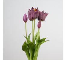 Real Touch Tulpenbund x5 L45cm Aubergine