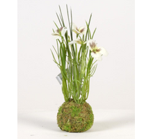 Veilchen auf Moosball H24cm weiß